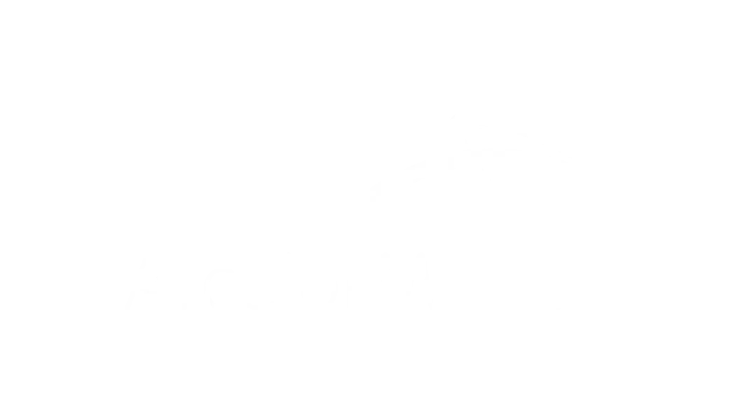 ARCELOR  LOGO CONTRASTE