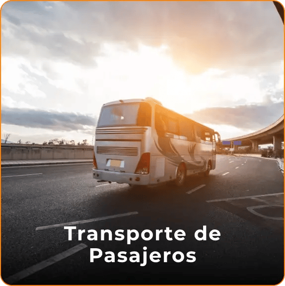 Grupo 48998-1