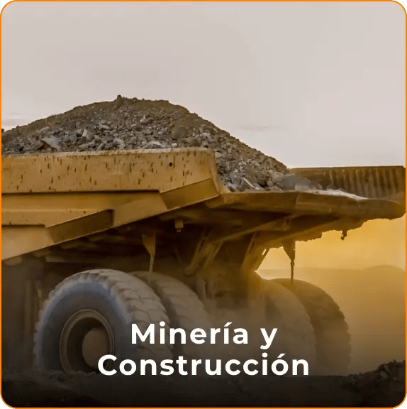 Grupo 48999-1
