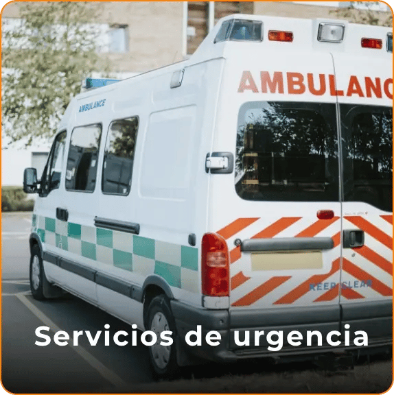 Grupo 49000-1